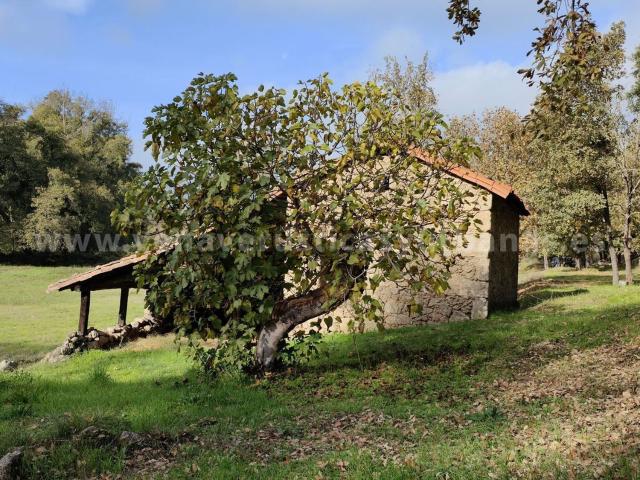 Casa Rural en venta en Villanueva De La Vera, Extremadura