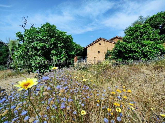 Casa Rural en venta en Villanueva De La Vera, Extremadura