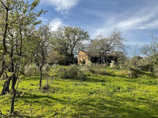 Casa Rural en venta en Villanueva De La Vera, Extremadura