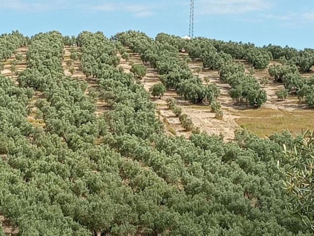 Casa Rural en venta en Nororma, Andalucía