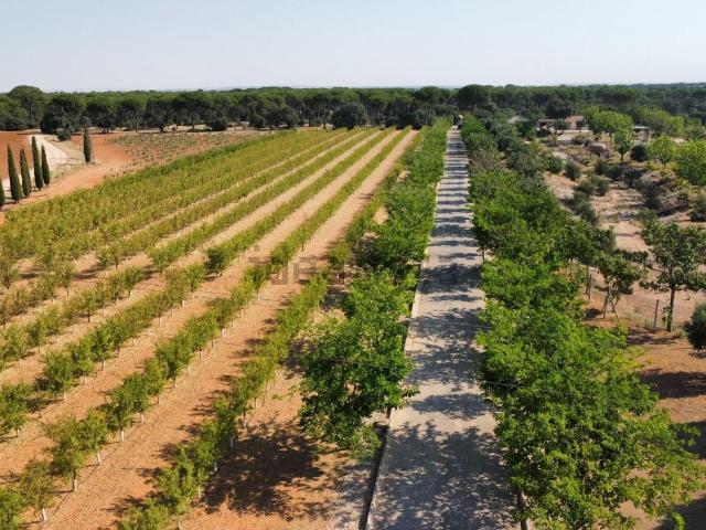 Casa Rural en venta en Villarrobledo, Castilla-La Mancha