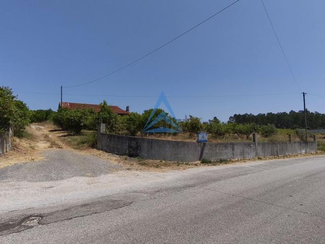 Quinta venda em Vinha Da Rainha, Cabeça Carvalha