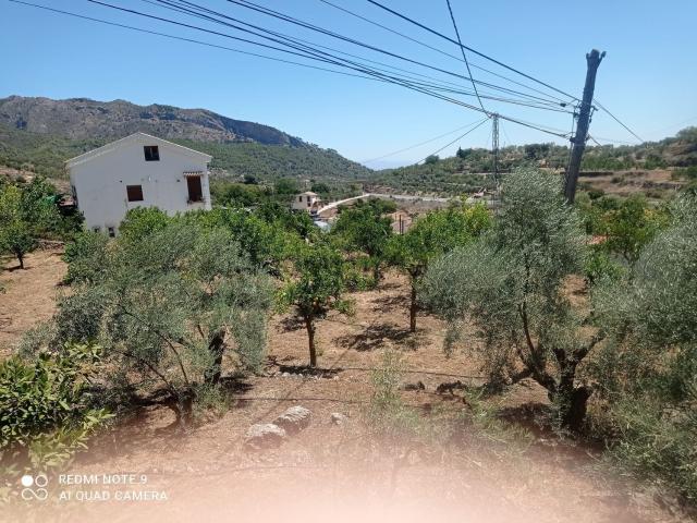 Casa Rural en venta en Sierra de las Nieves, Andalucía
