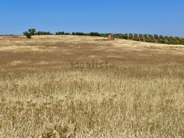 Casa Rural en venta en Zafra, Badajoz