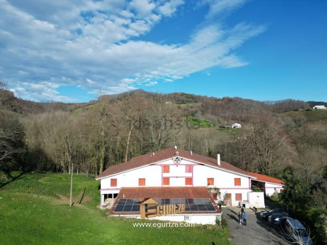 Casa Rural en venta en Zizurkil, Guipúzcoa