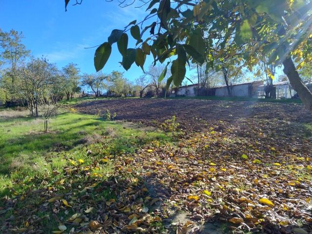 Casă vânzări în Calarasi