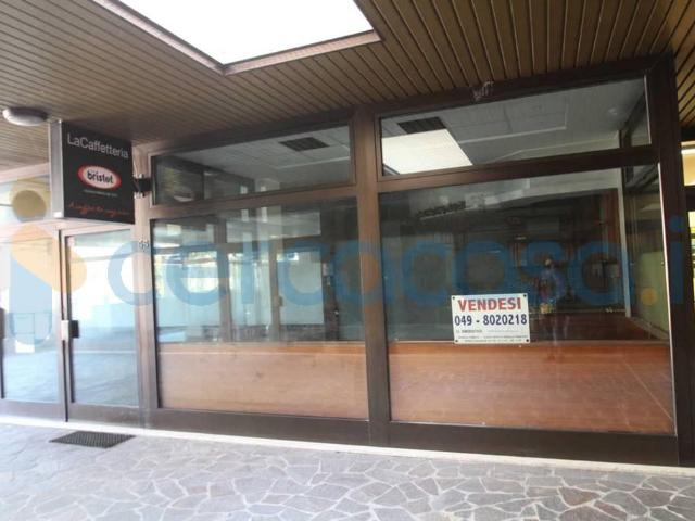 Villa Indipendente in affitto a Camin, Padova
