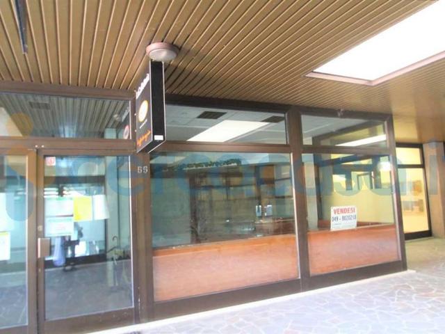 Villa Indipendente in affitto a Camin, Padova