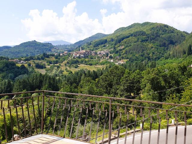 Villa Indipendente in vendita a Unione Comuni Garfagnana, San Romano In