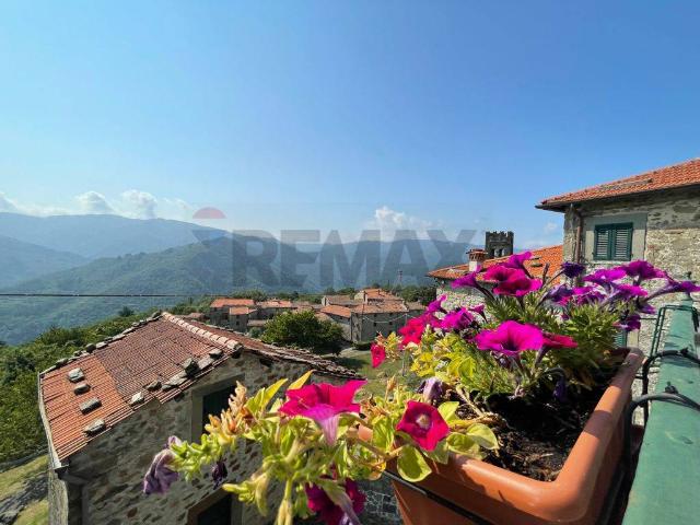 Villa Indipendente in vendita a Unione dei comuni Media Valle del Serchio, San Gemignano
