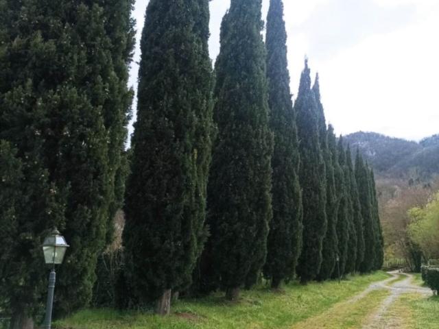 Villa Indipendente in vendita a Tassaia, Borgo San Lorenzo