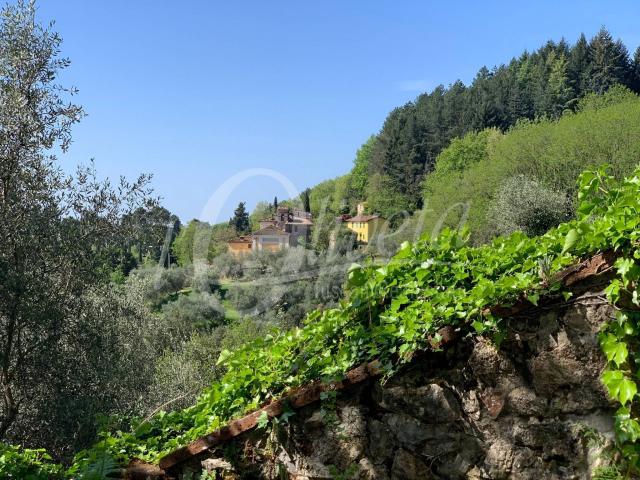 Villa Indipendente in vendita a Castello, Camaiore