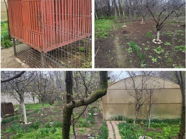 Casă vânzări în Rosiori De Vede