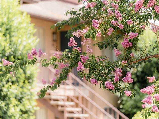 Apartment for rent in Riverside, California