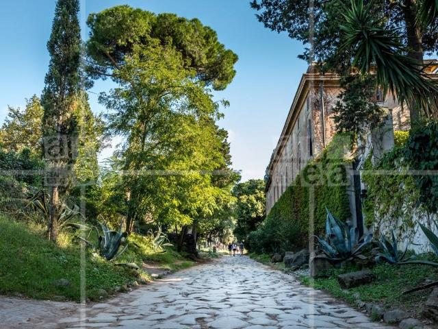 Villa Indipendente in affitto a Municipio Roma VIII, Roma Capitale