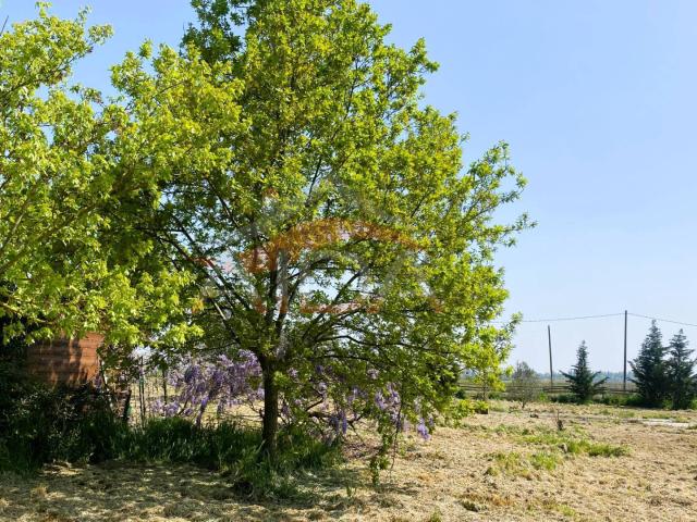 Villa Indipendente in vendita a Argenta, Reggio Emilia