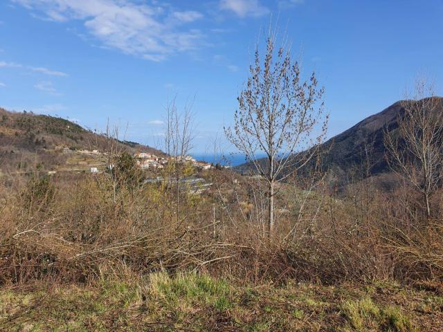 Villa Indipendente in vendita a Balestrino, Liguria
