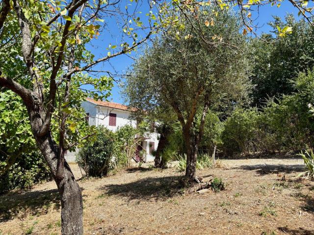 Villa Indipendente in vendita a Belvedere Ostrense, Ancona