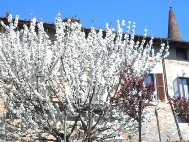 Villa Indipendente in vendita a Pistornile, Casteggio