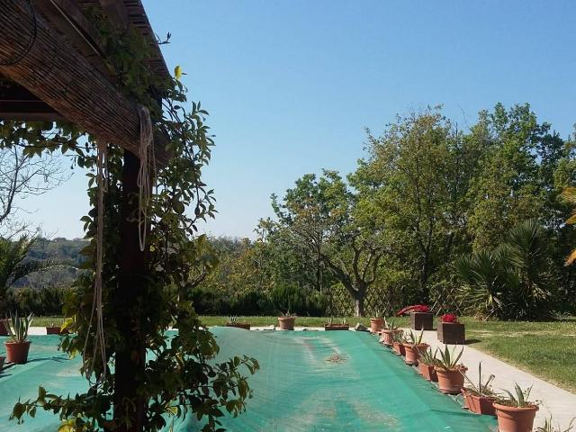 Villa Indipendente in vendita a Contrada Migliarino, Marche