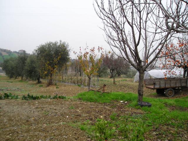 Villa Indipendente in vendita a Marche, Ascoli Piceno