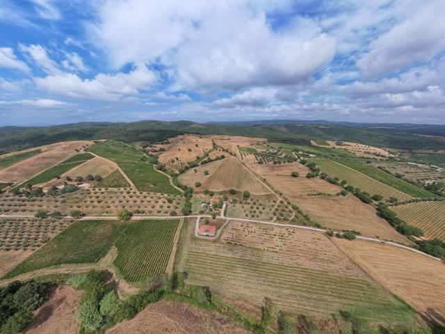 Villa Indipendente in vendita a Magliano In Toscana, Toscana