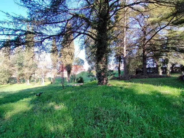 Villa Indipendente in vendita a Marsciano, Umbria