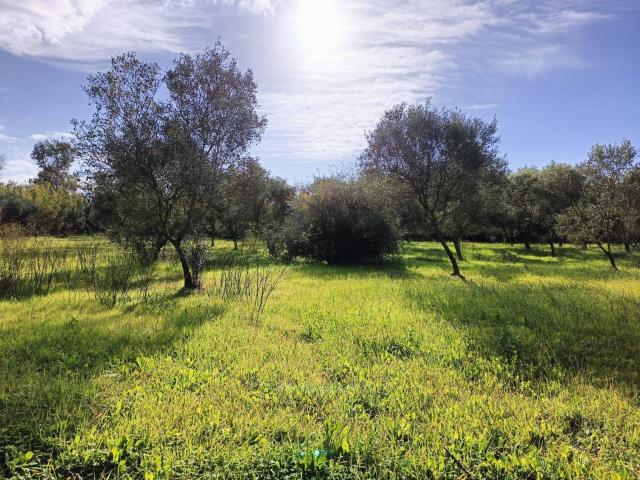 Villa Indipendente in vendita a Nuraminis, Sardigna/Sardegna
