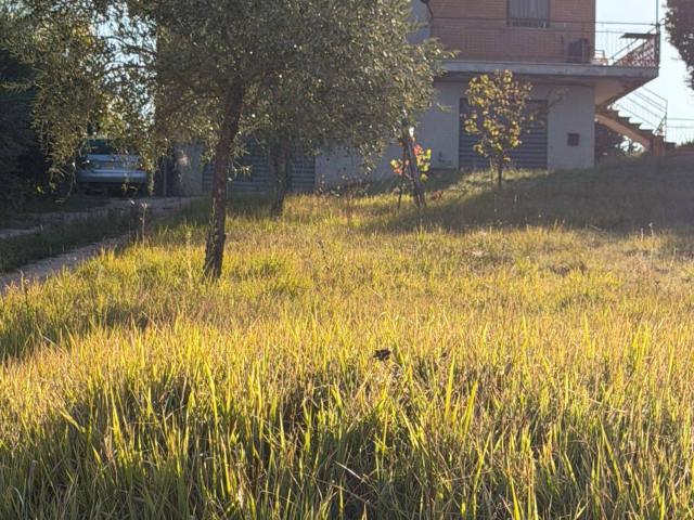 Villa Indipendente in vendita a Santa Vittoria in Matenano, Fermo