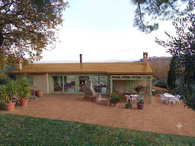 Villa Indipendente in vendita a Scansano, Toscana