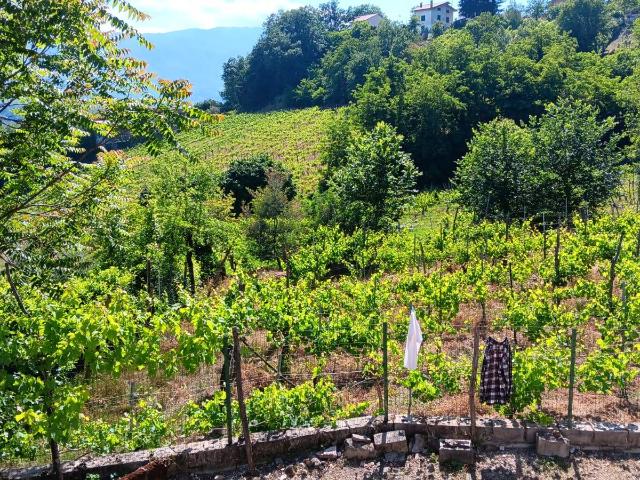 Villa Indipendente in vendita a Tufo, Campania