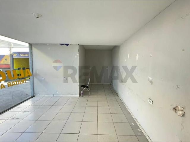 Casa aluguel em Região Imediata de Campinas, Região Metropolitana de Campinas