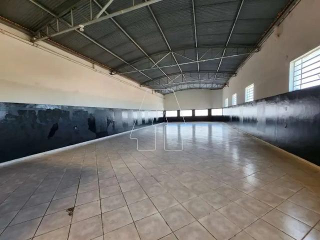 Casa aluguel em Região Imediata de Araçatuba, Araçatuba