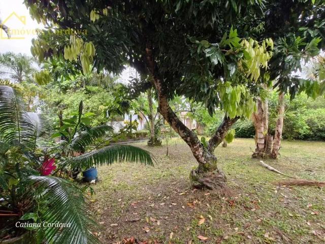 Casa aluguel em Região Imediata de Santos, Região Metropolitana da Baixada Santista