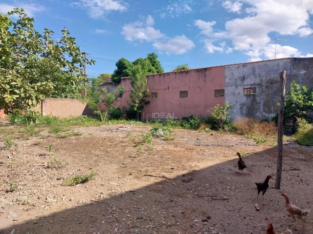 Casa aluguel em Campos dos Goytacazes