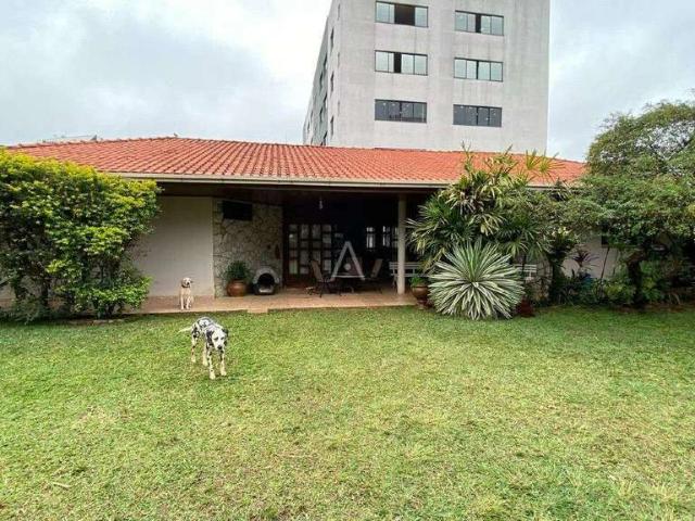 Casa aluguel em Cascavel, Região Geográfica Intermediária de Cascavel