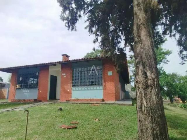 Casa aluguel em Região Geográfica Imediata de Cascavel, Cascavel
