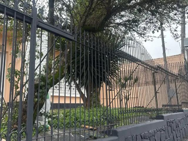 Casa aluguel em Região Geográfica Imediata de Curitiba, Região Metropolitana de Curitiba