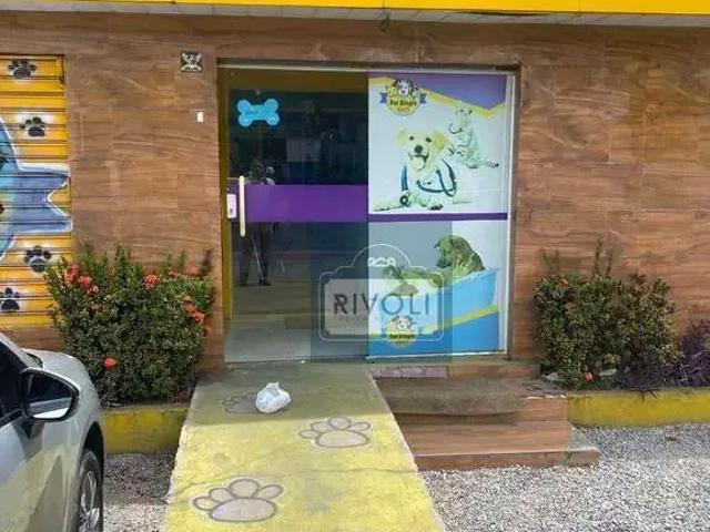 Casa aluguel em Região Geográfica Imediata do Recife, Região Metropolitana do Recife