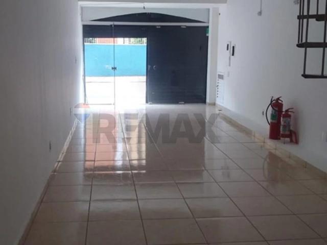 Casa aluguel em Ribeirão Preto
