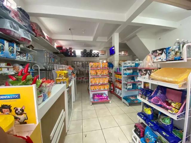 Casa aluguel em Região Imediata de São José do Rio Preto, Região Metropolitana de São José do Rio Preto