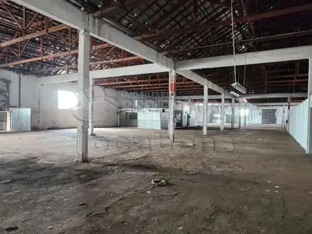 Casa aluguel em Região Imediata de São José do Rio Preto, Região Metropolitana de São José do Rio Preto