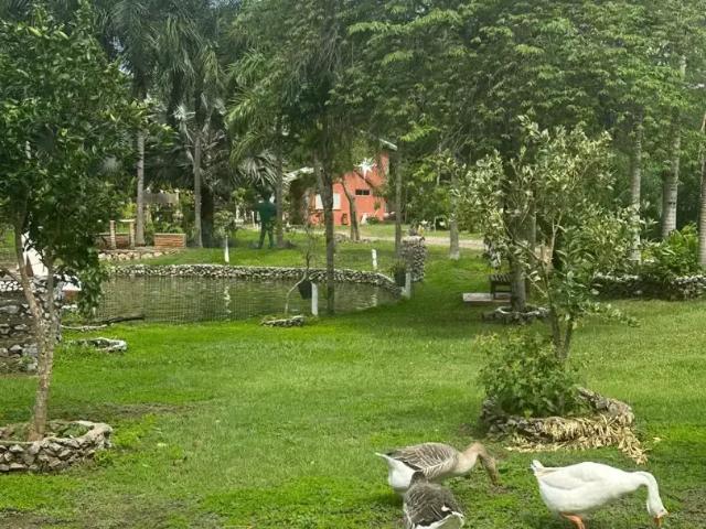 Casa venda em Região Geográfica Imediata de Campo Grande, Campo Grande