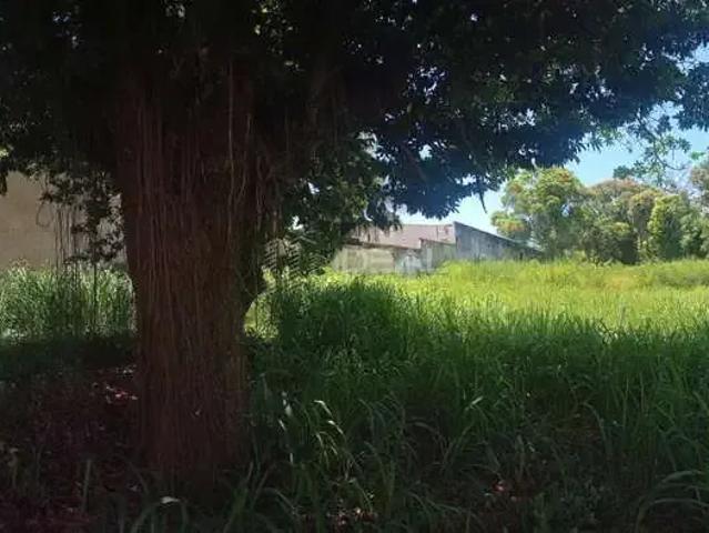 Casa venda em Centro Histórico, Campos dos Goytacazes