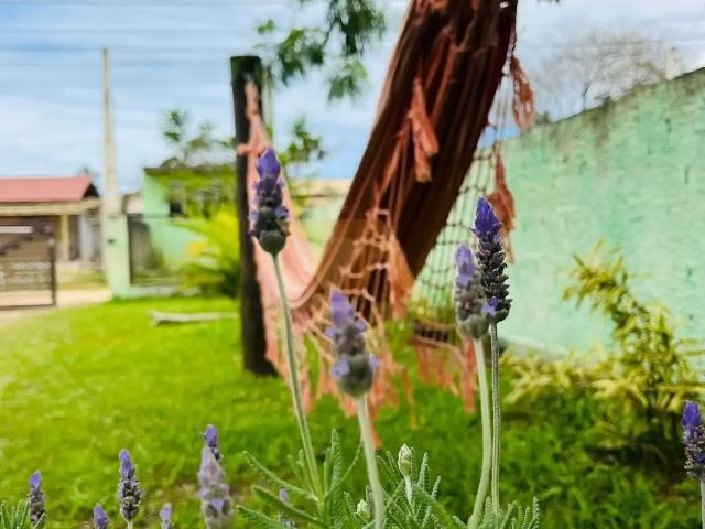 Casa venda em Região Geográfica Imediata de Florianópolis, Imbituba