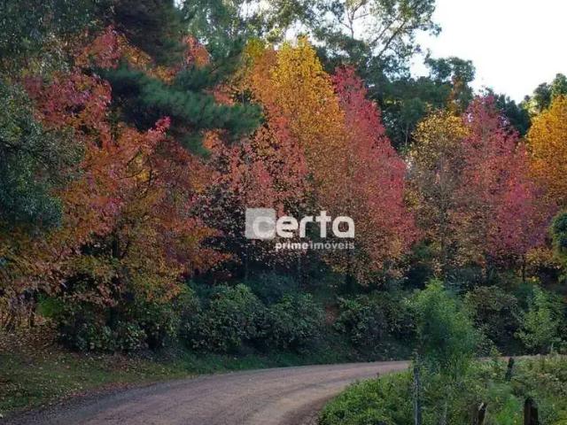 Casa venda em Região Geográfica Imediata de Caxias do Sul, Gramado