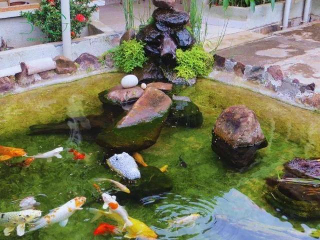 Casa venda em Região Imediata de Ribeirão Preto, Região Metropolitana de Ribeirão Preto