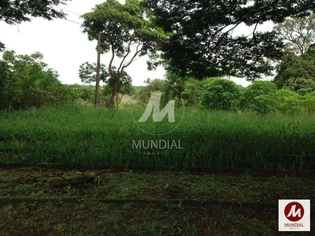 Casa venda em Região Imediata de Ribeirão Preto, Região Metropolitana de Ribeirão Preto
