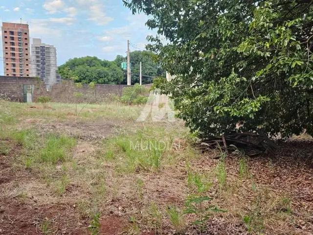 Casa venda em Região Imediata de Ribeirão Preto, Região Metropolitana de Ribeirão Preto