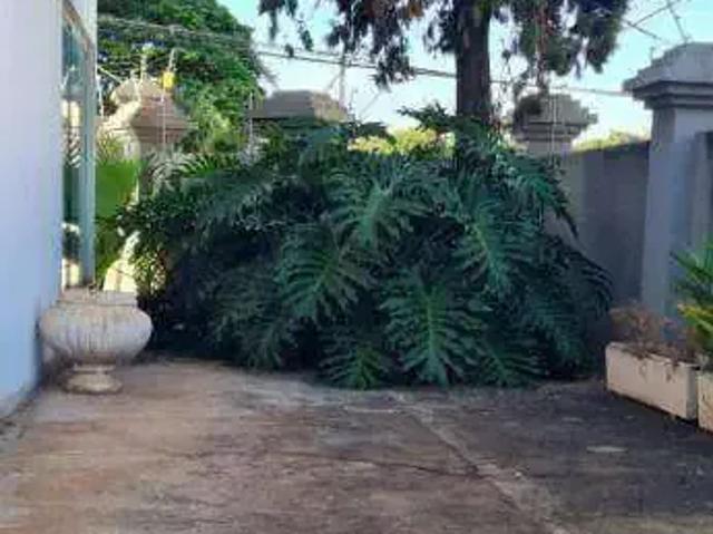 Casa venda em São José do Rio Preto
